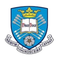 英国谢菲尔德大学
